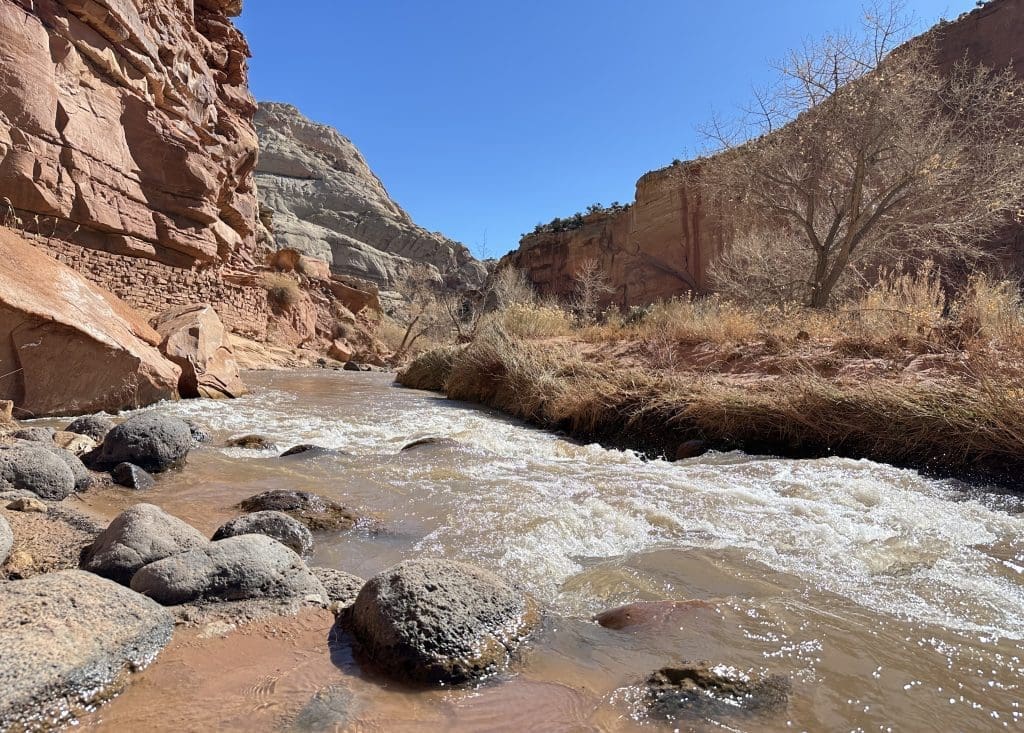 Fremont River at the start of Hickman Bridge Trail